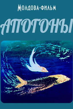 Apogoni