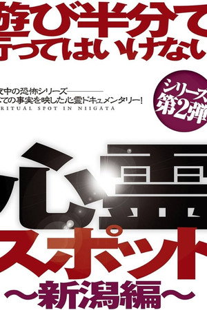 遊び半分で行ってはいけない心霊スポット ～新潟編～