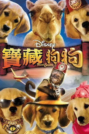 护宝巴迪