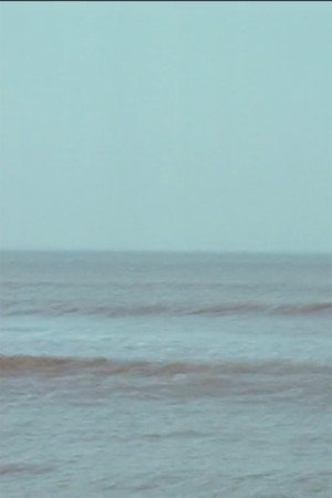 Vibrating Horizon