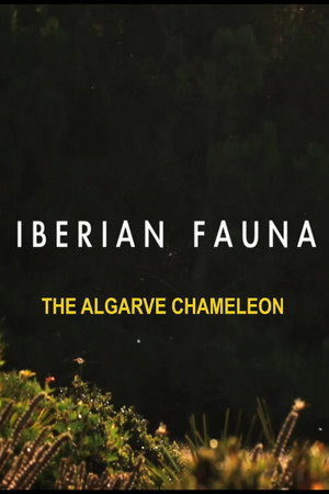 O Camaleão do Algarve - Fauna Ibérica