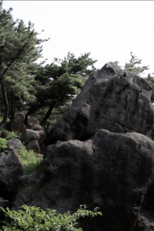 재