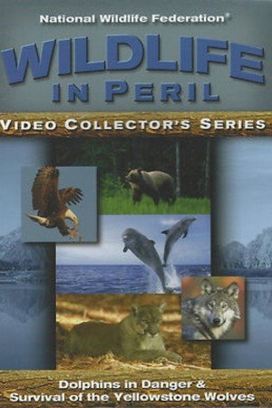 Wildlife in Peril