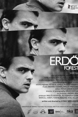 Erdő