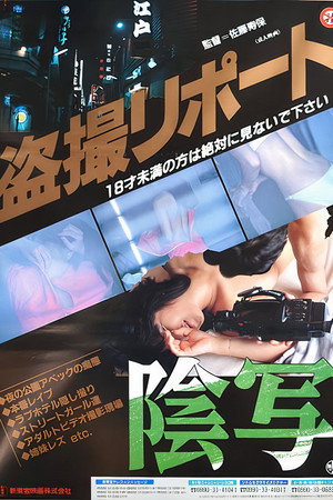 盗看报告书:阴写