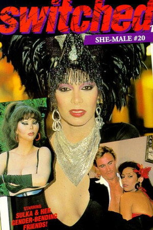 She-Male Encounters 20: Switched
