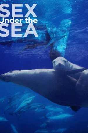 Sexe en Haute Mer
