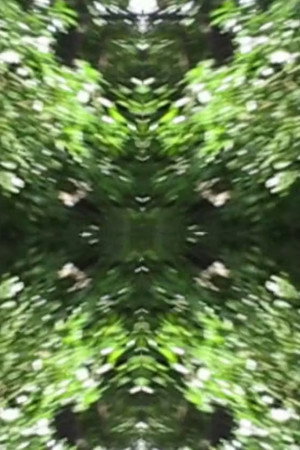 The Richter Garden