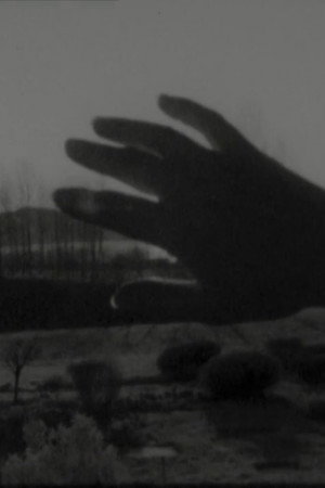 Sole in mano (o appropriazione, a propria azione, azione propria)