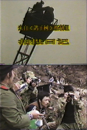 来自《鸽子树》摄制组:拍摄日记