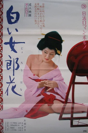白色女郎花