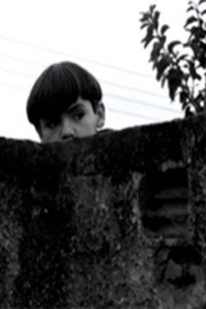 O Muro
