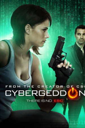 Cybergeddon