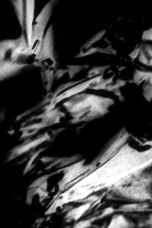 Molten Shadow