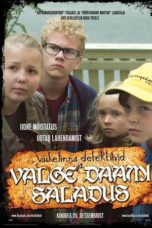 Väikelinna detektiivid ja valge daami saladus