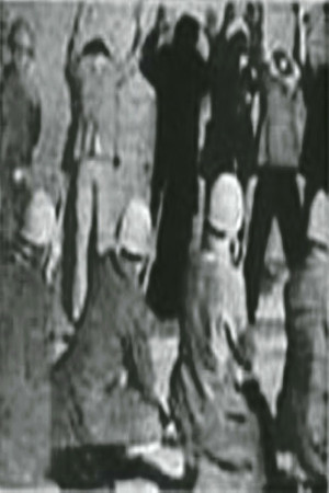 شجاعان ايستاده میميرند