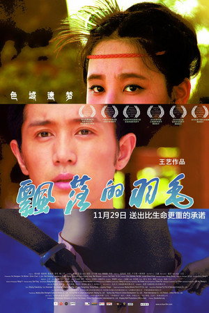 飘落的羽毛