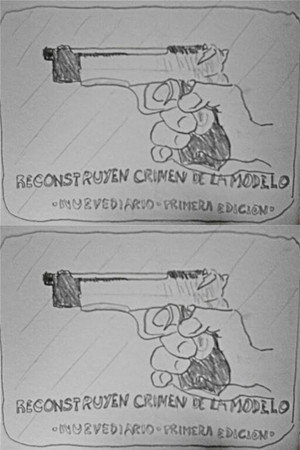 Reconstruyen crimen de la modelo