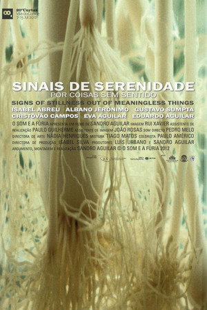 Sinais de Serenidade Por Coisas Sem Sentido