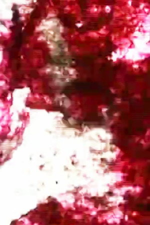NO. 2