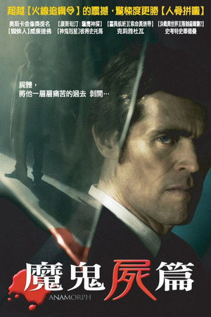 失真的画