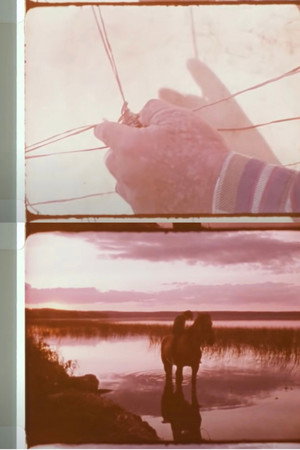 This Place – Chipewyan Lake