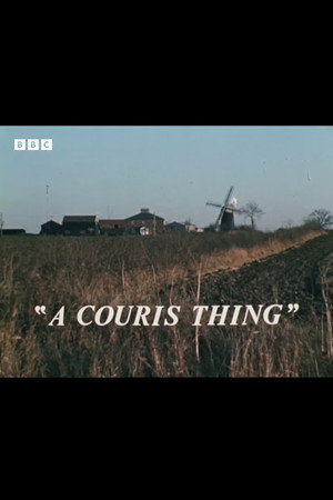 A Couris Thing