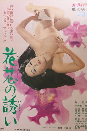 花芯的诱惑