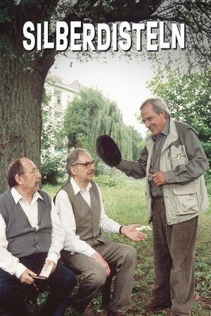 Silberdisteln