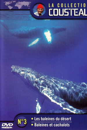 La collection Cousteau N°3 | Les baleines du désert | Baleines et cachalots