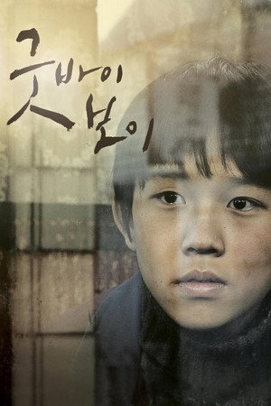 再见,男孩