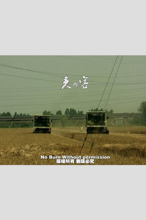 麦客