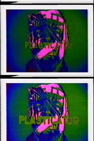 Plasticator