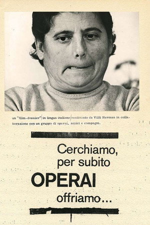 Cerchiamo per subito operai, offriamo...