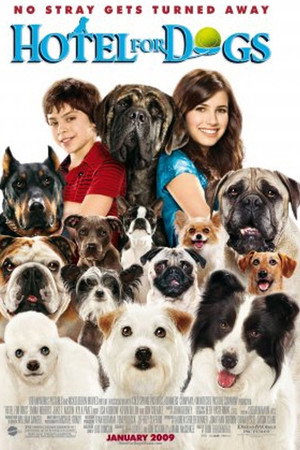A Home for Everyone: The Making of 'Hotel for Dogs'