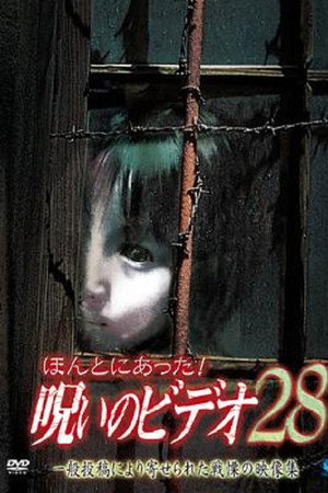 ほんとにあった!呪いのビデオ28