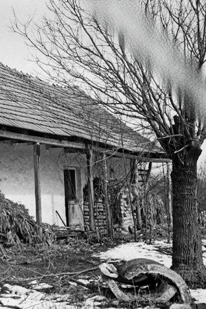 Bartók Béla: Az éjszaka zenéje