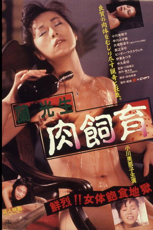 兰光生:肉饲育