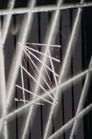 Lens Spasm