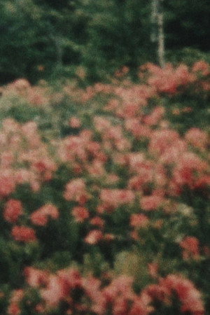 窓から