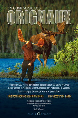 En compagnie des orignaux