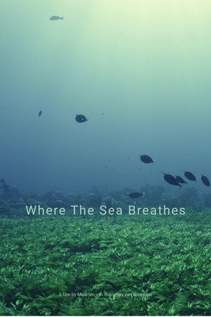 Where The Sea Breathes