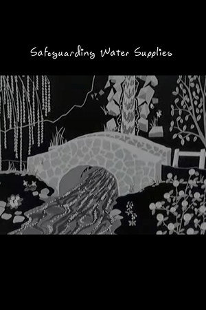 Safeguarding Water Supplies