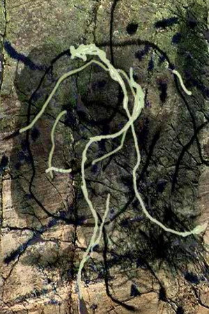 Rivière au tonnerre