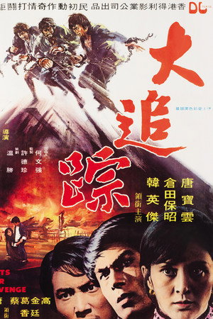 大追踪