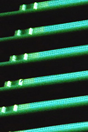 Light Speed
