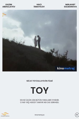 Toy