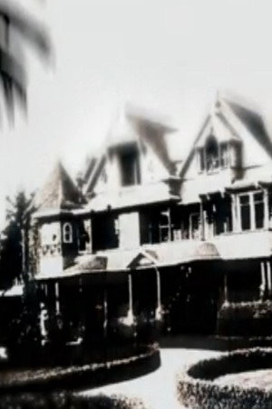 Winchester