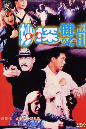 妙探双龙