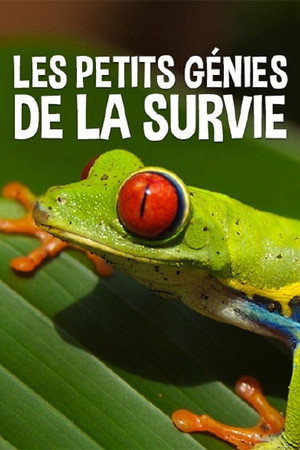 Les petits génies de la survie